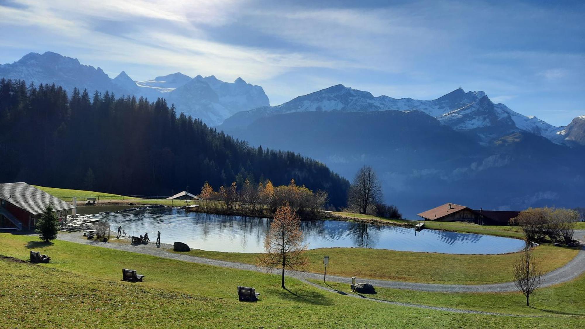 Chalet Blatti Hasliberg Szoba fotó