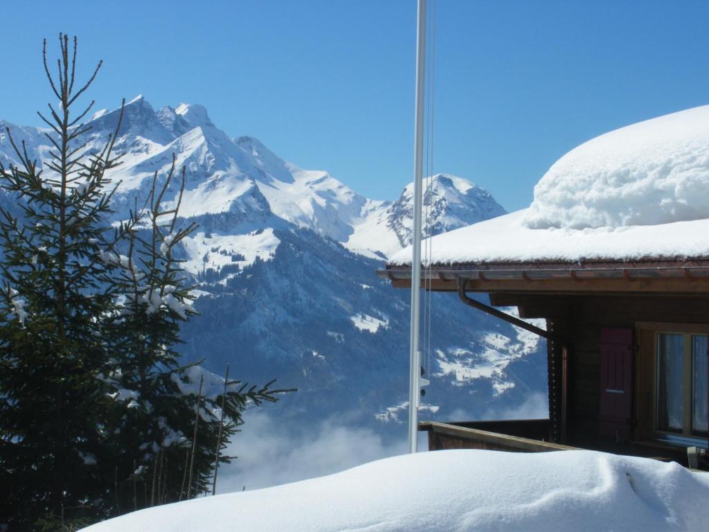 Chalet Blatti Hasliberg Kültér fotó